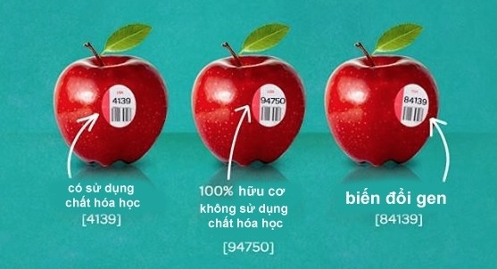 Những điều cần biết về mã code trên trái cây